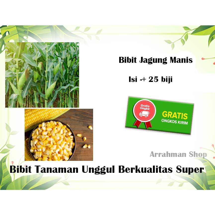 Jual Benih Jagung Manis Bibi Biji Benih Jagung Manis Super