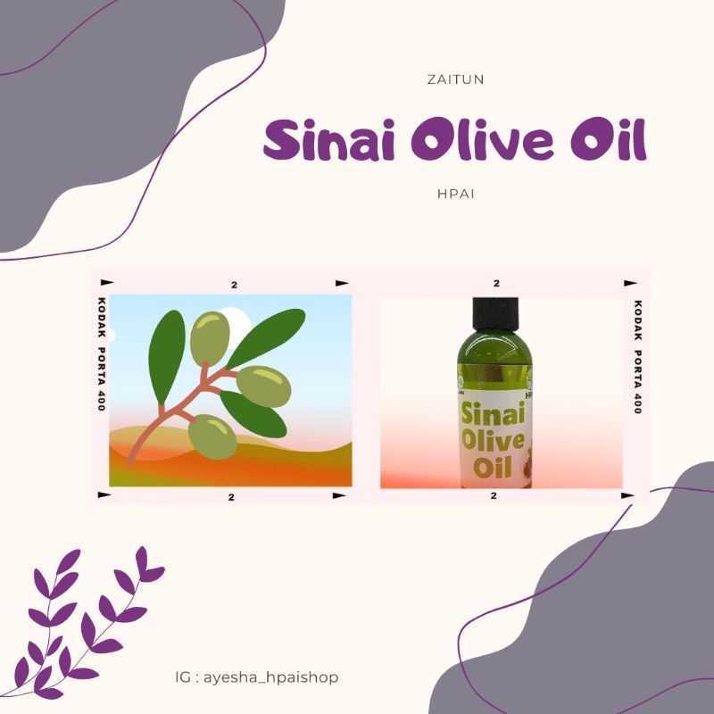 Sinai olive oil (minyak zaitun) hpai
