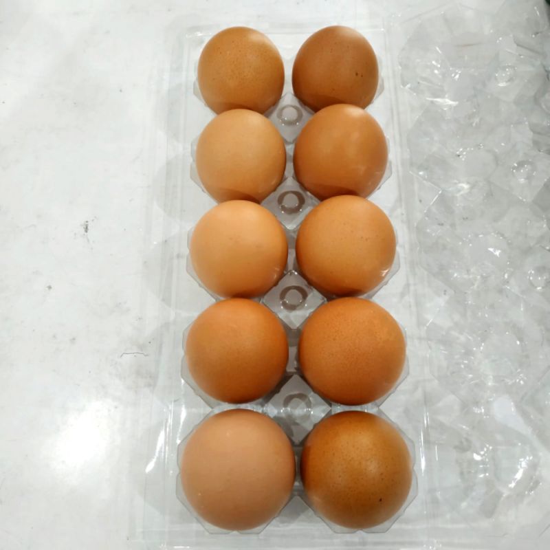 

Telur Ayam Negri (600gr)