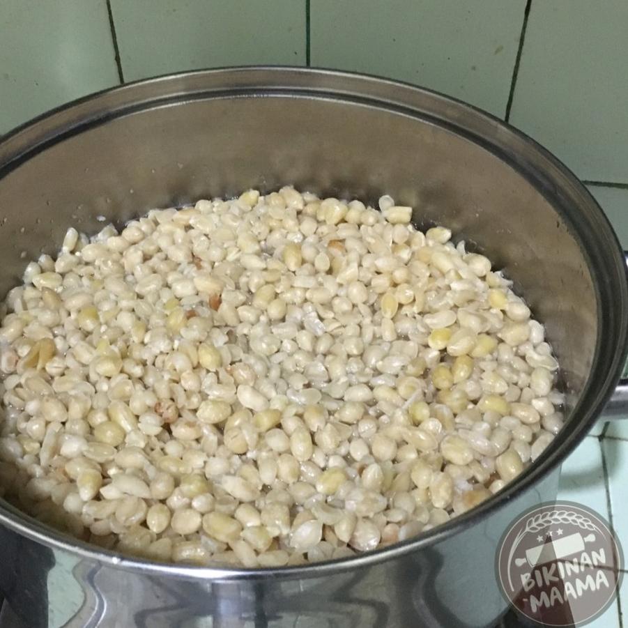 

9.9 FLASH SALE Cemilan Kacang Goreng Bawang Super500g