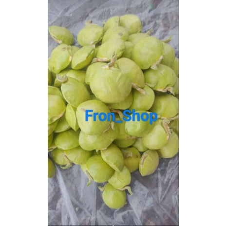 

Jengkol Muda Segar Jengkol Muda Lalapan Siap Santap Jengkol Masih Kulitan 1Kg