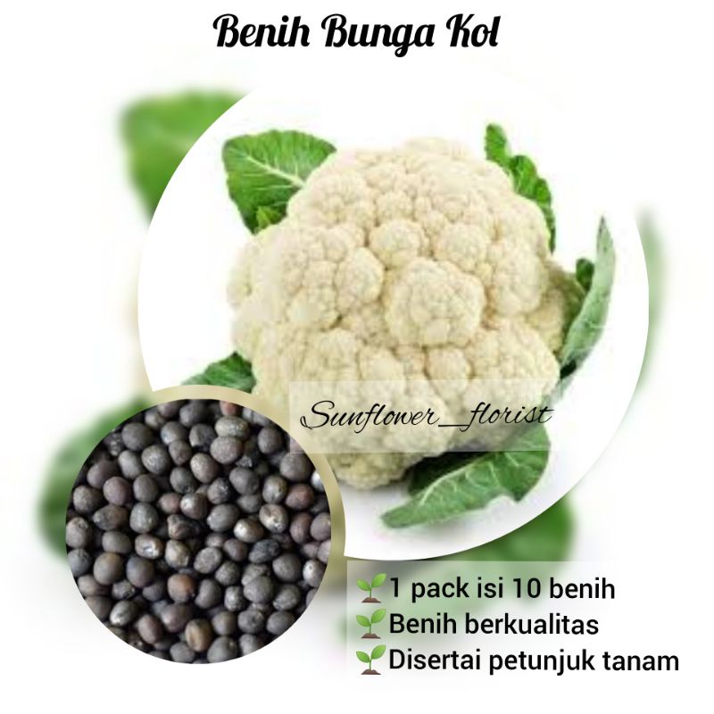 Benih Bunga Kol