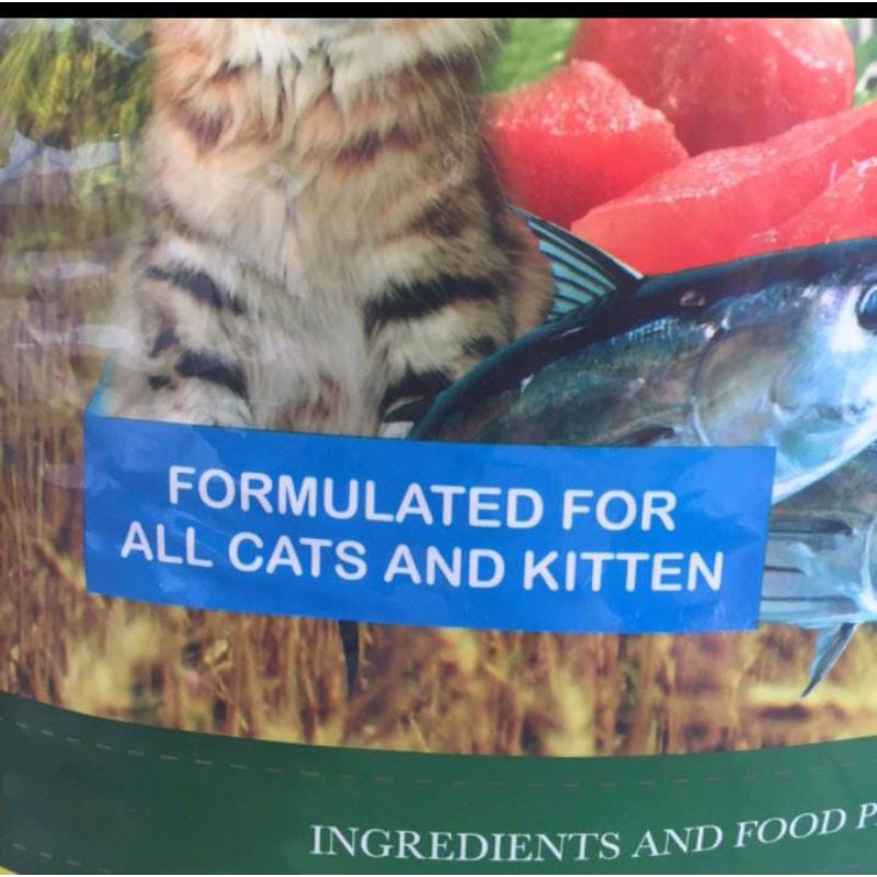 Makanan Kucing SABINA OCEAN FISH Repack 1 kg All Stage | makanan kucing segala usia sabina ikan laut
