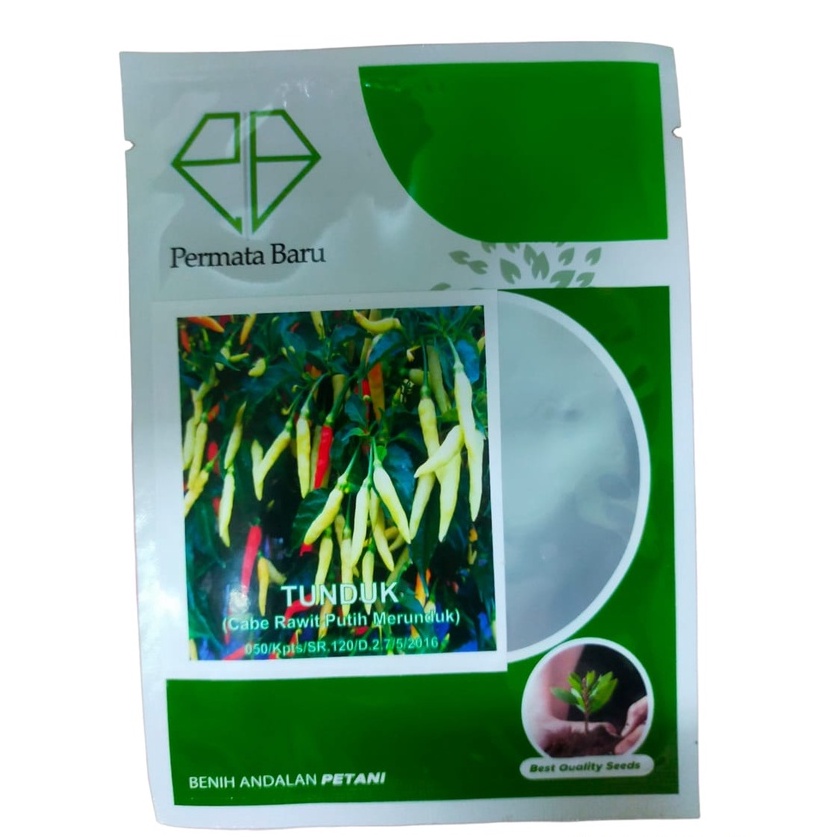 Benih Cabe / Cabai Rawit putih unggul Tunduk 10gr - bibit cabe rawit - cabe rawit merunduk