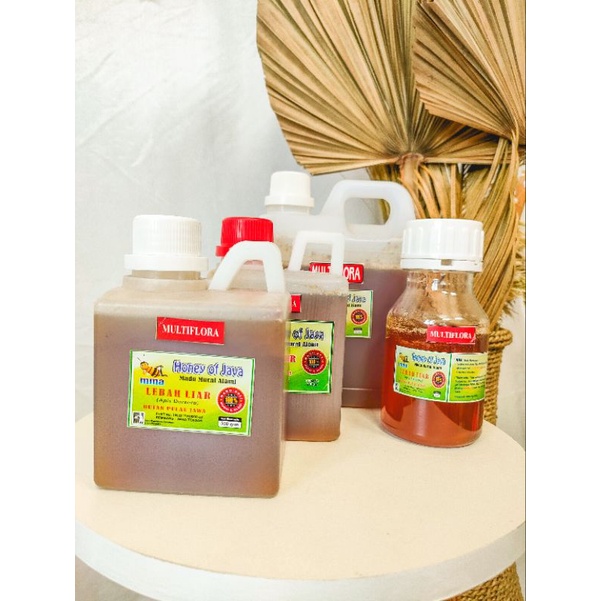 

Madu Lebah Liar - Apis Dorsata 100% Asli Murni Garansi - Honey of Java