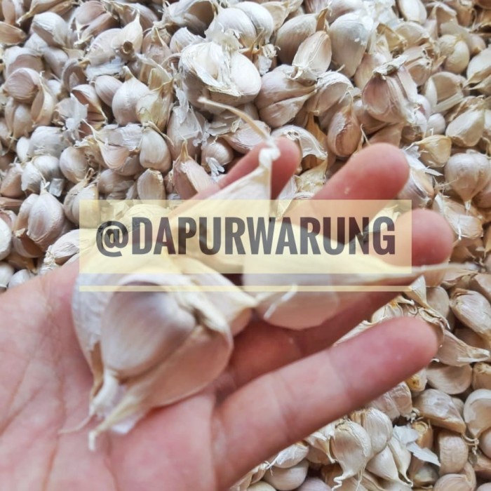 

Bawang Putih Kating (harga perkilo) Promo!