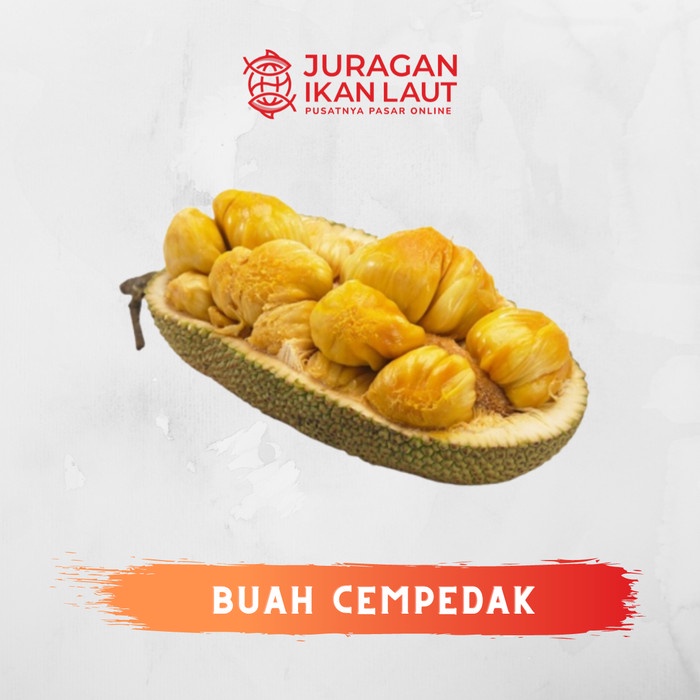 

Buah Cempedak Manis Berkualitas - 1 Buah