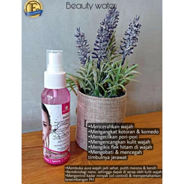 beauty water /kangen water