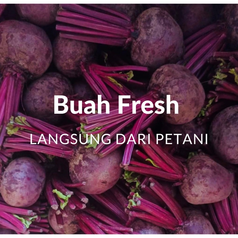 

Buah Bit Root Fresh Kualitas Super Termurah dari petani langsung 2kg bit merit