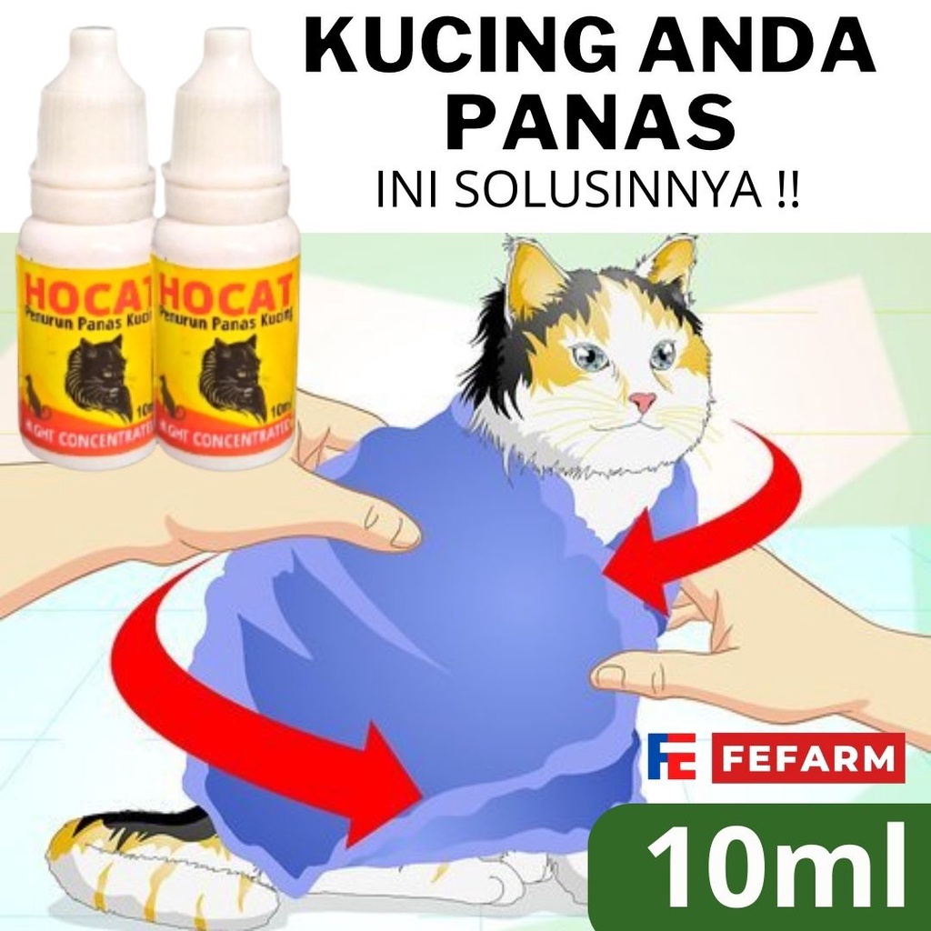 Obat Demam Panas Kucing Cat Kitten Hocat 10ml FEFARM