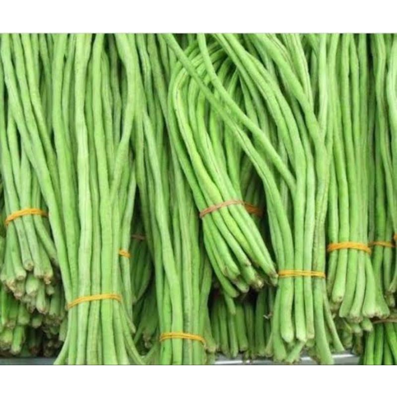 

kacang panjang 250gram