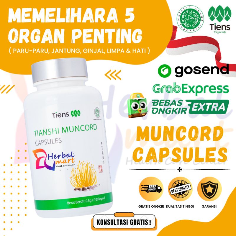 TERLARIS‼️ NUTRISI MEMELIHARA 5 ORGAN PENTING / MUNCORD TIENS / NUTRISI STAMINA PRIA WANITA DEWASA |