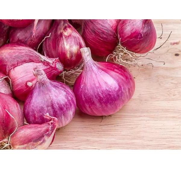 

Dijamin Ori>/ FCW - Bawang Merah Besar 250 Gram