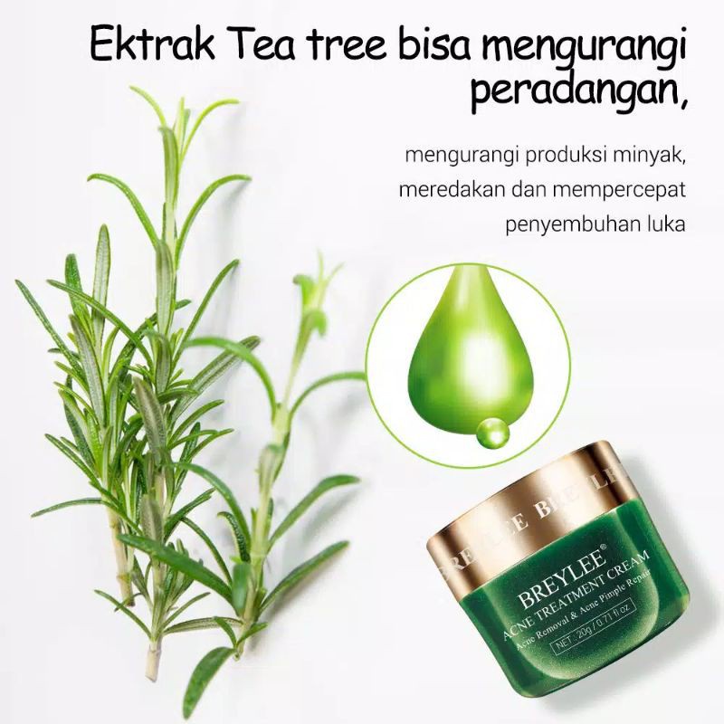 BREYLEE Acne Treatment Cream Anti Acne Pimple Removal Spots Oil Control Shrink Pores Moisturizing