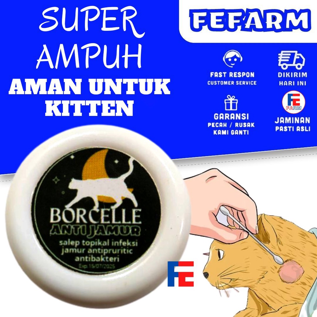 SALEP ANTI JAMUR DAN BAKTERI SUPER AMPUH UNTUK KUCING FEFARM