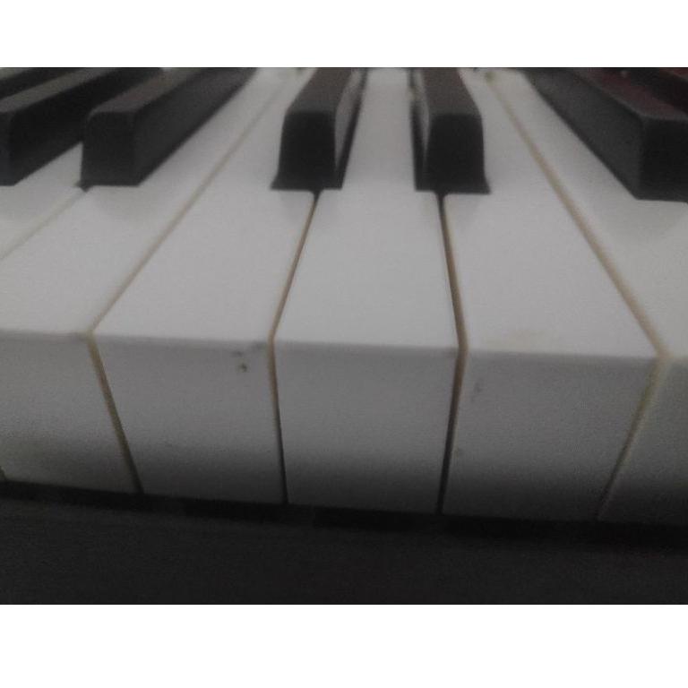 [J-62 ➸] Hammer Caps Keyboard Piano Casio / Hammer Cap Piano Keyboard Casio / Karet Tuts Piano Keybo