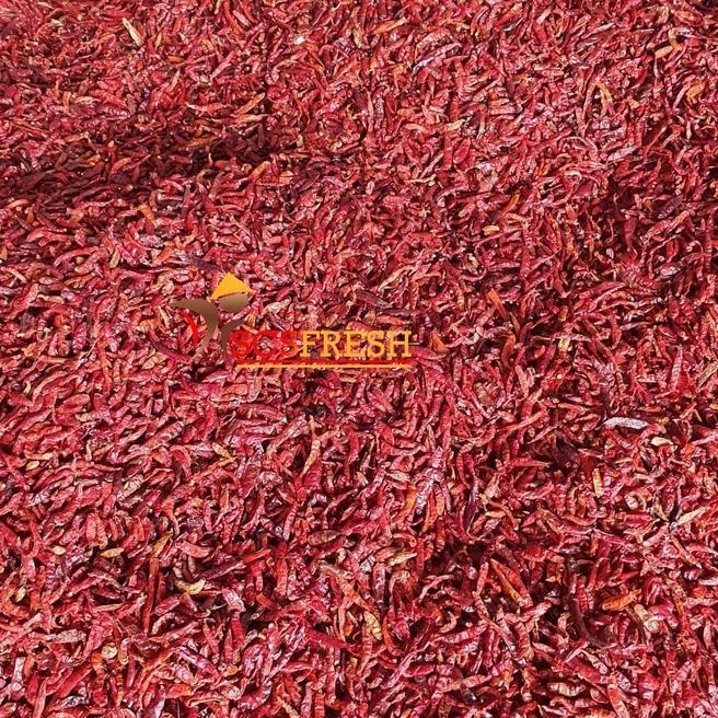 

[KODE PRODUK JZLDG4559] Cabe Kering Teja | Cabe Rawit Kering Teja Kualitas SUPER (1 KG)