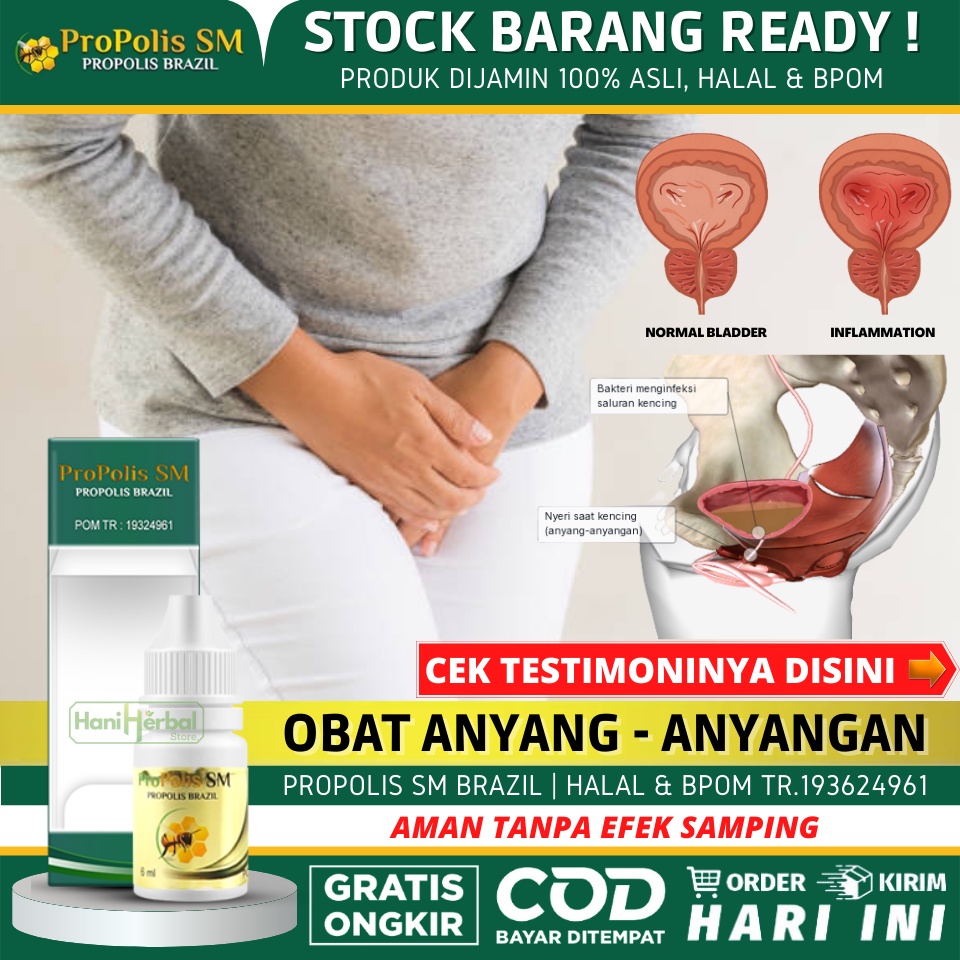 Obat Anyang - Anyangan Untuk Pria & Wanita, Obat Sakit Kencing, Obat Nyeri & Perih Saat Kencing, Oba