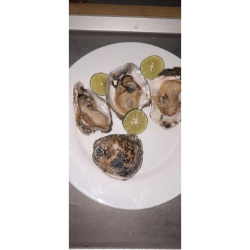 

kerang tiram (OYSTER) utuh 500gr