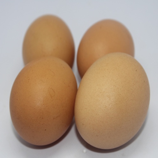 

Telur Ayam Sedang / Butir