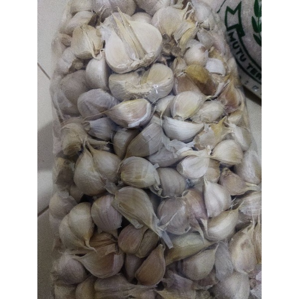 

Bawang putih Kating