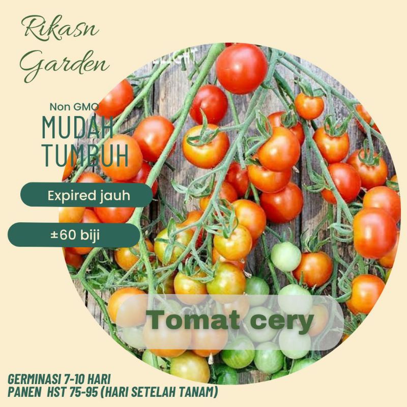 KHUSUS BATAM benih biji bibit tomat ceri TOMAT CHERRY