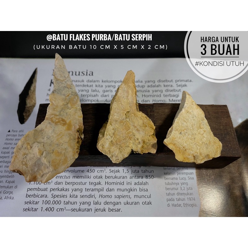 Batu Serpih Purba C23 atau Batu Flakes atau Kapak Genggam atau Kapak Batu atau Mata Tombak