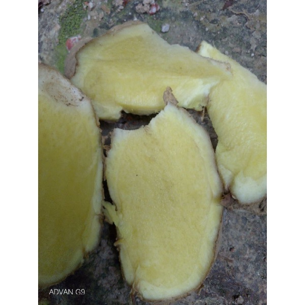 

TEMU KUNING 1 KG