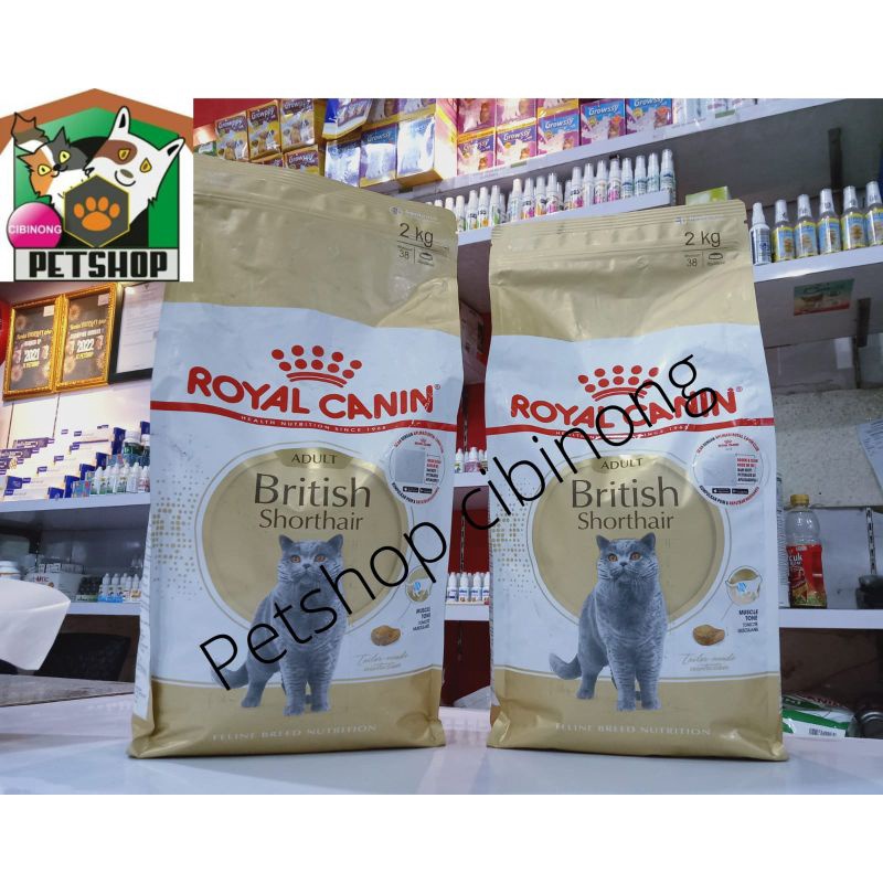 Royal canin British shorthair 2 kg makanan kucing dewasa