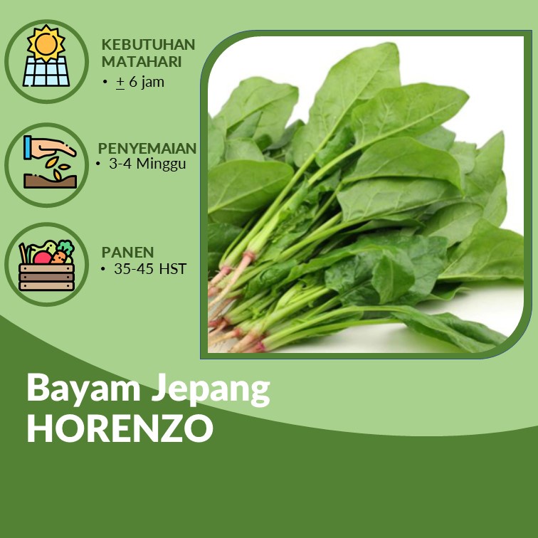 Jual Benih Biji Bayam Jepang Horenzo Poling 10 Biji Shopee Indonesia