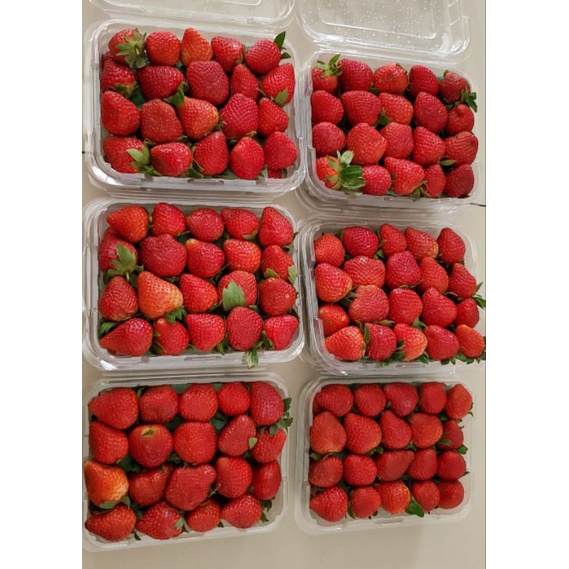 

strawberry lembang 1kg