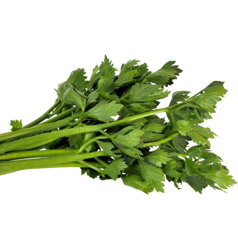 

Daun Seledri