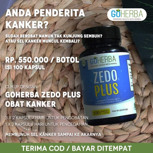 GOHERBA ZEDO PLUS ASLI OBAT KANKER DARAH ZEDOPLUS