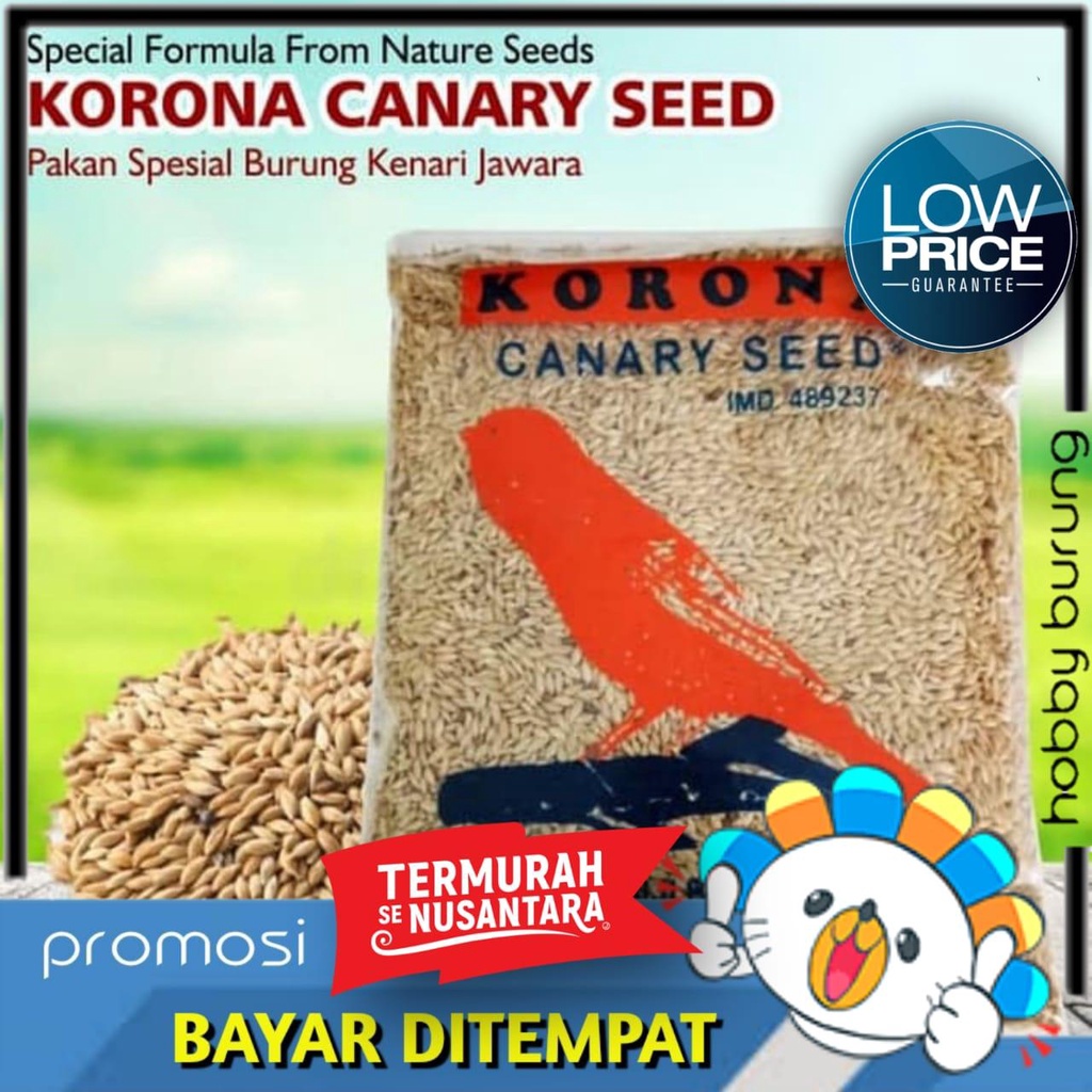 PAKAN BURUNG KENARI KORONA CANARY SEED