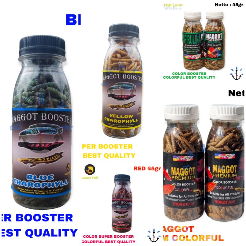 Pakan Ikan Predator Maggot Kering BOOSTER Grade A+++ PREMIUM 45gram