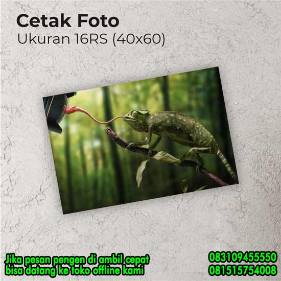 Cetak foto photo wisuda wedding 16rs 40x60 Luster