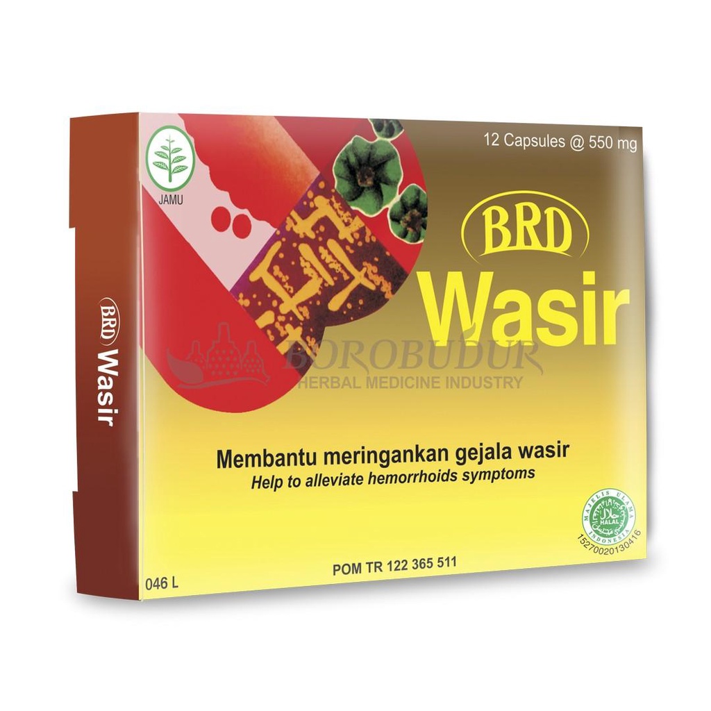 Wasir Kapsul