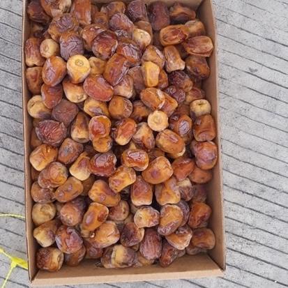 

♨ Kurma Sukari 500gram Kemasan Premium NR ㄻ