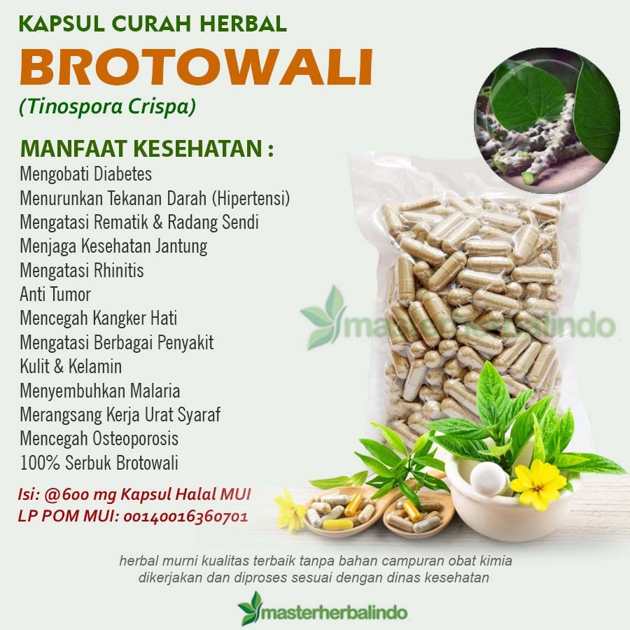 Kapsul BROTOWALI 100 kapsul(NNH_NNH171)