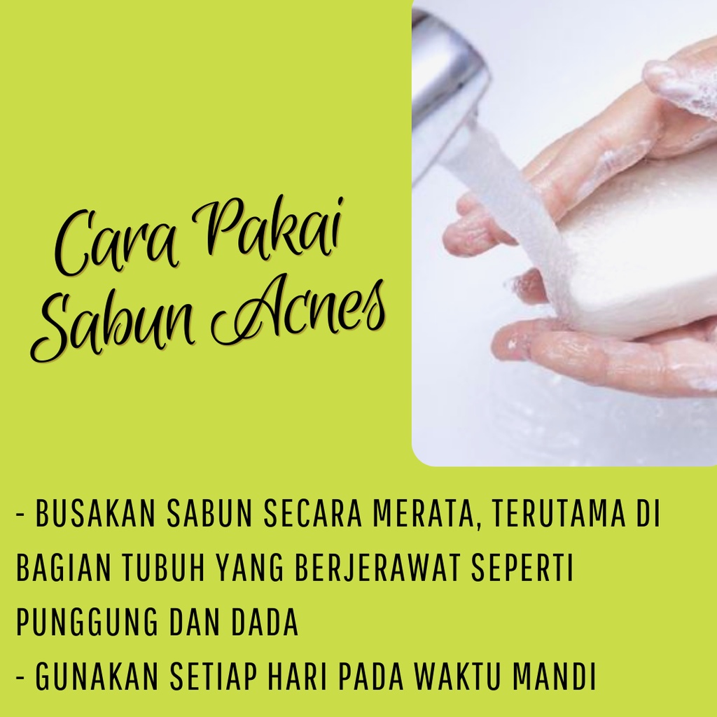 Sabun Acnes Jerawat Punggung Dan Dada Obat Penghilang Jerawat Dan Bekasnya Di Muka Atau Wajah Pria Wanita Paling Ampuh  Permanen Bpom