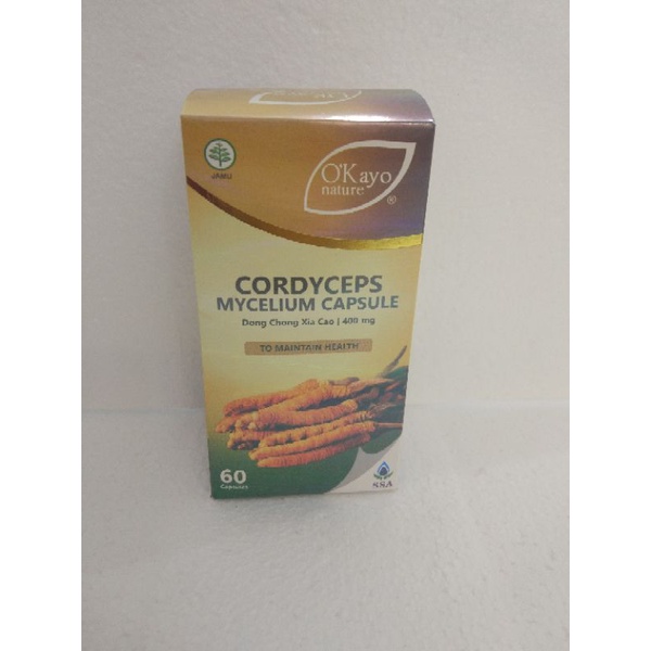 cordyceps mycelium capsule (dong Chong xia cao)