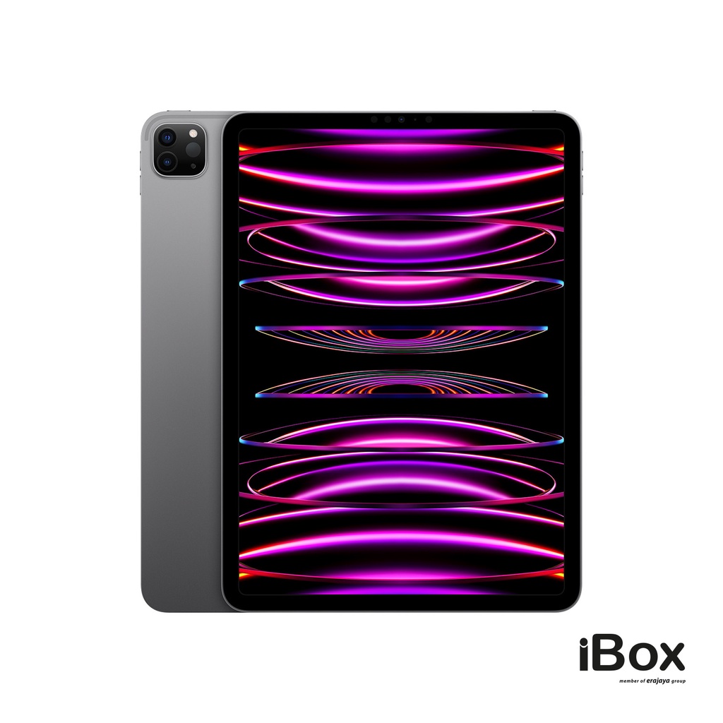 Apple iPad Pro 11 inci (2022) M2, Wi-Fi, 2TB, Space Grey