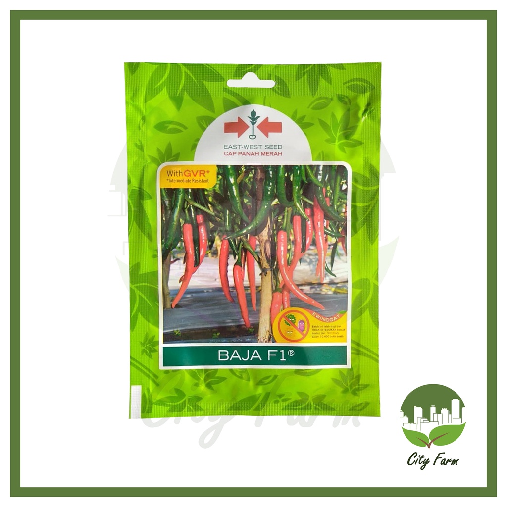 BENIH CABE BESAR BAJA SP (125 BTR) PANAH MERAH