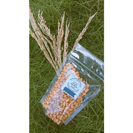 

Kacang Kelici