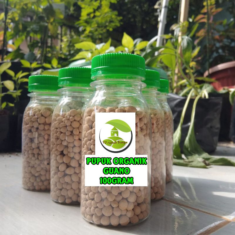 100GRAM - PUPUK ORGANIK NPK GUANO PUPUK KOTORAN KELELAWAR GRANULE
