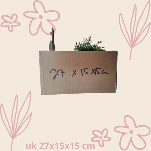 

KARDUS BOX STANDAR UK 27x15x15 cm ( 10 PCS )