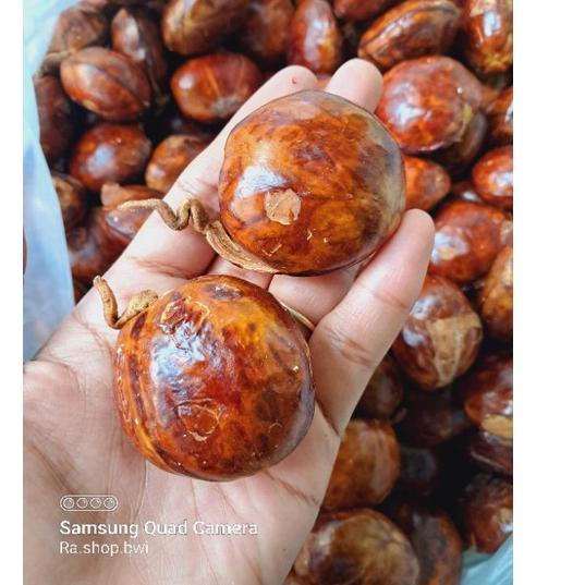 

(E-C-T♥) Jengkol Tua/jengkol punel berat 500gram viral