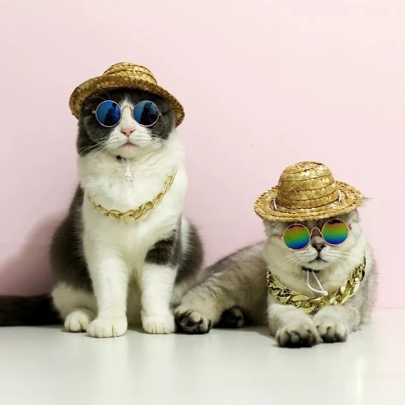 Kacamata hewan Fashion kucing anjing pet aksesoris