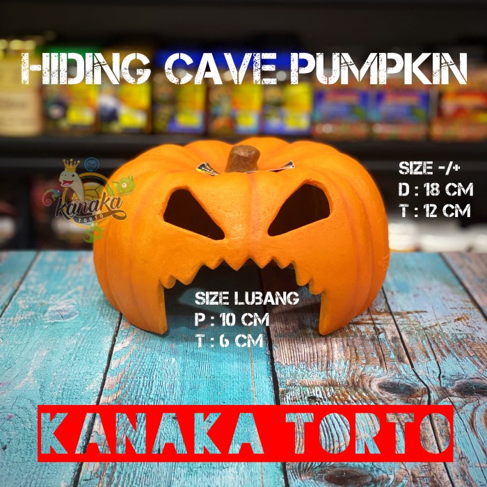 Hiding Cave Pumpkin Rumah Kura Air RES Brazil Hamster Landak Mini