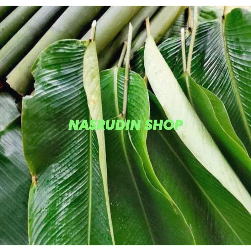 

[Fresh] DAUN LEREK SEGAR 1KG / DAUN IRIK / DAUN NYIRIK / DAUN KOBUH BUNGKUS LEMANG / DAUN PATAT